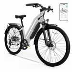 TST Electric Bike for Adults