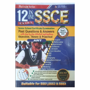 12 in 1 Art Past Questions Solid Solutions